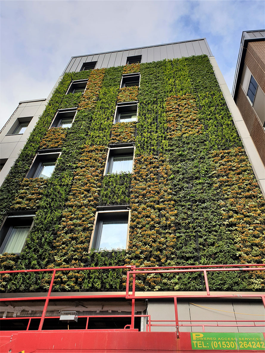 living wall hoxten hotel london