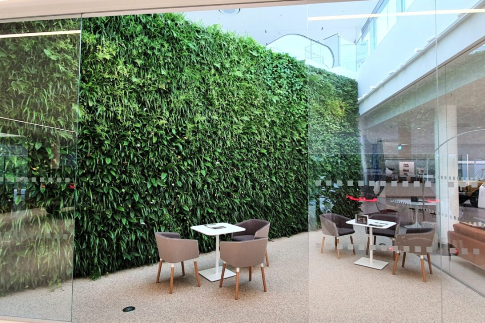 Interior Living Wall Project