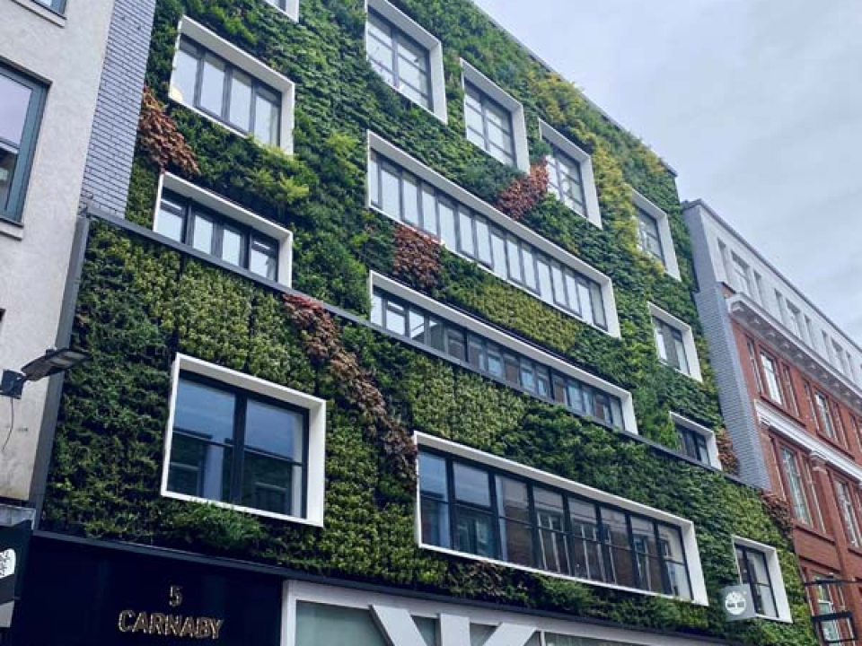 Carnaby Street After