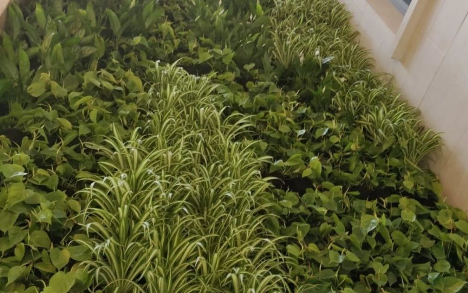 living wall grosvenor britain and ireland office