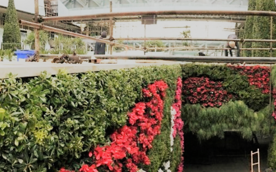 living walls scotscape tehran