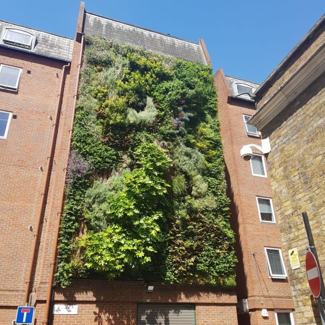 Living Wall Installation London bridge