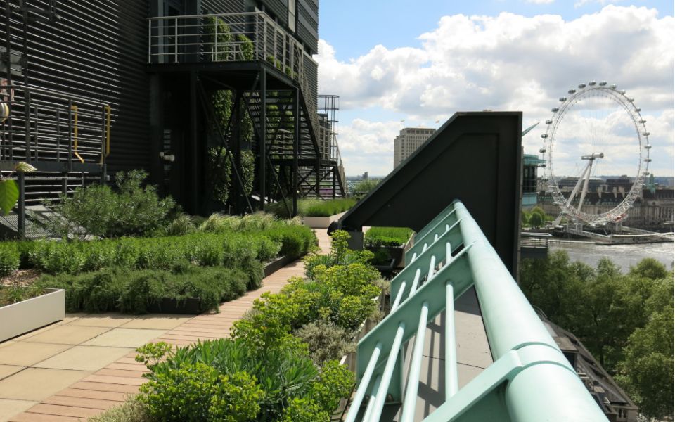 living walls green roof price waterhouse coopers