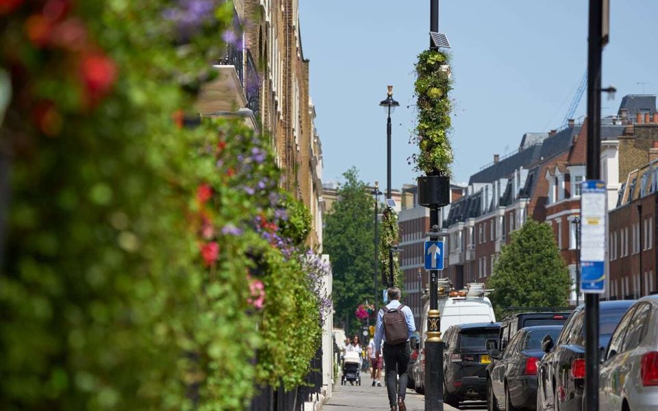 Living Pillars Ebury Street