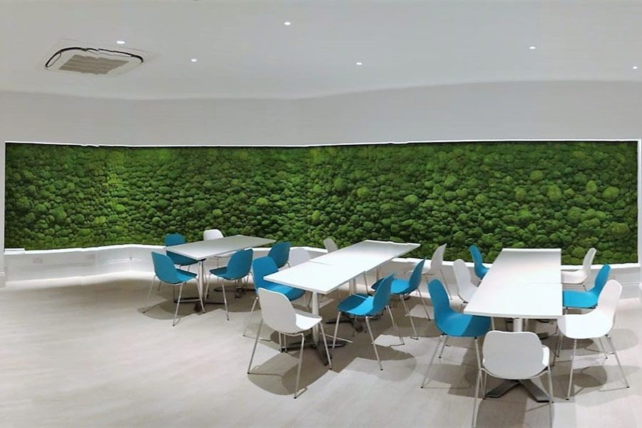 living wall on roof garden