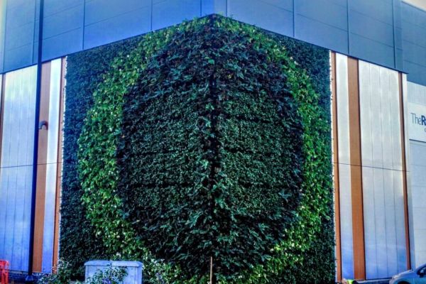 Living wall at the rutherford