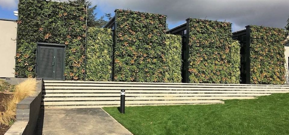 Living wall installation