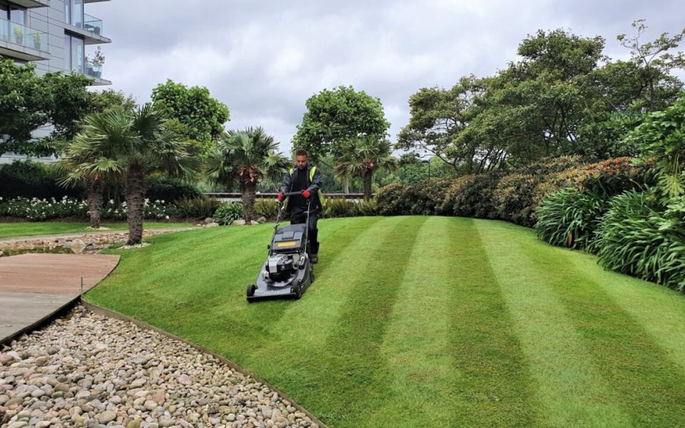 landscape maintenance mowing