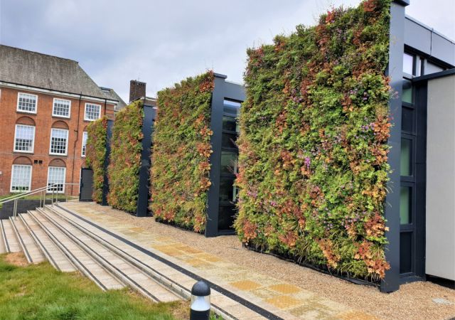 living wall project on building