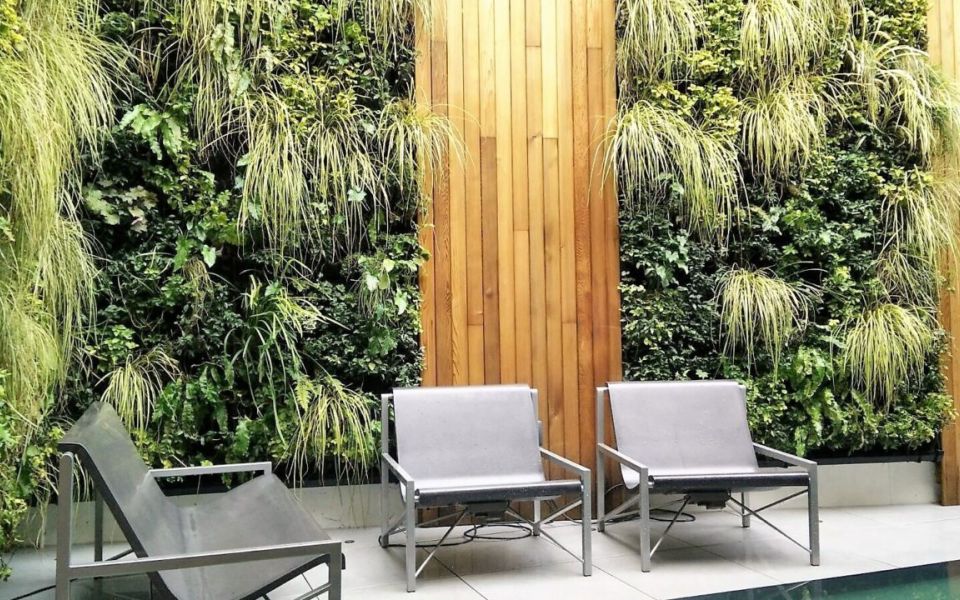 Living Wall Nash Terrace garden
