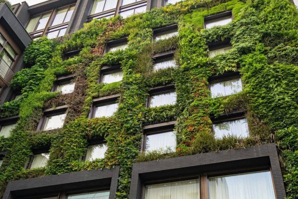 a Living Wall