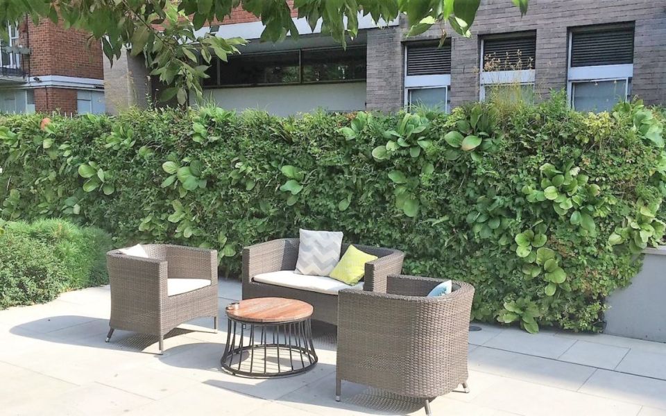 vertical garden patio chairs city