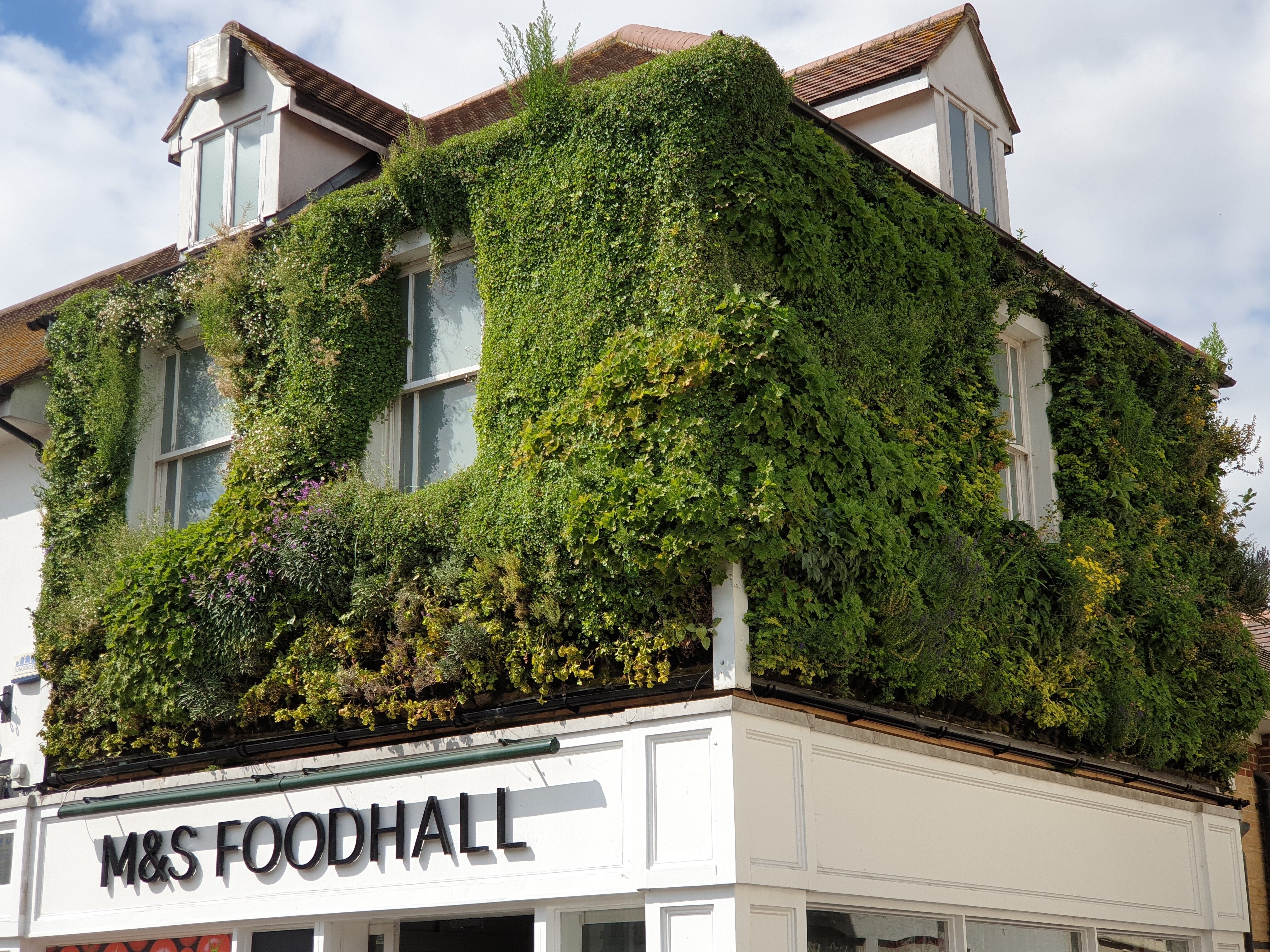 living walls marks and spencer epping