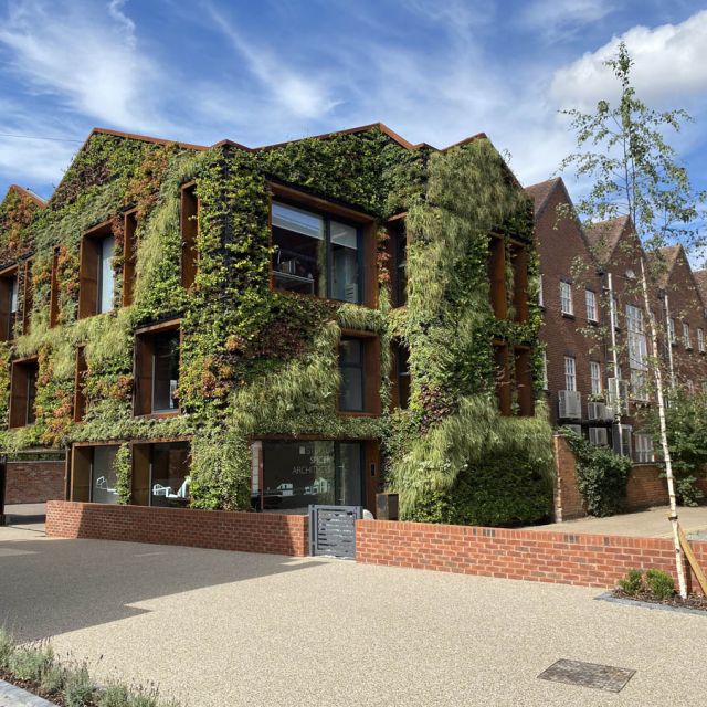 Exterior Living Wall