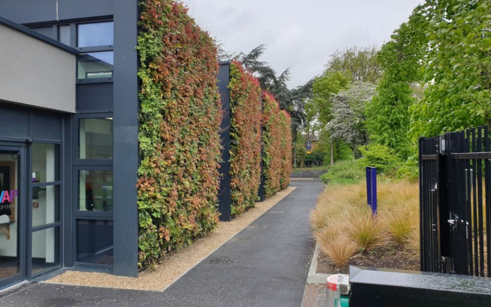 Parliament hill school living wall