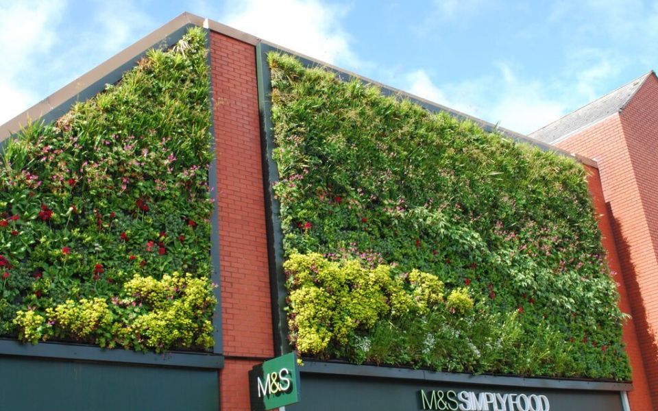living walls marks and spencer owestry