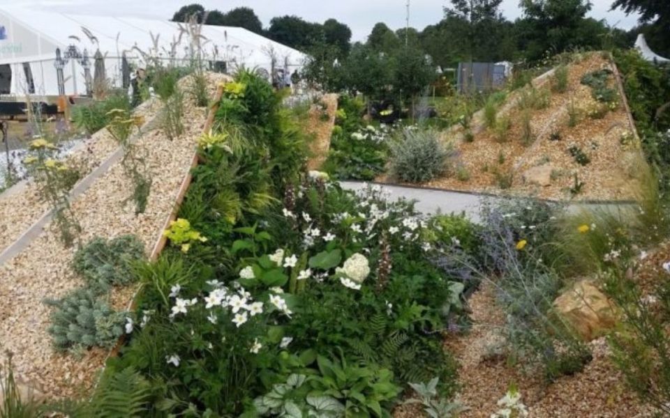 oasis garden rhs tatton tent