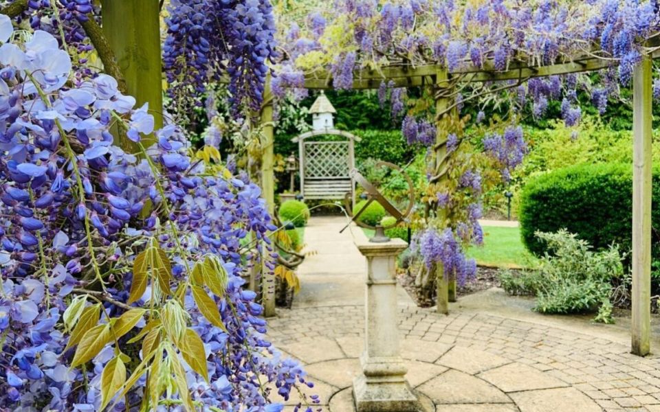 landscape maintenance at sunrise senior living esher