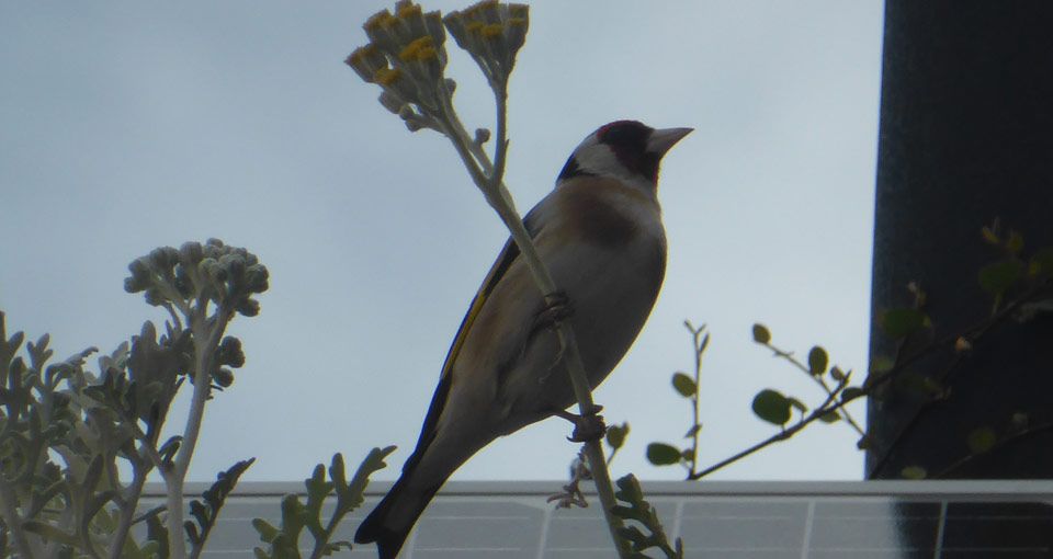 2022-University-East-London-project-logos