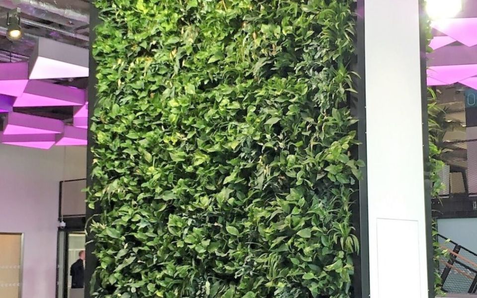 living wall office interior stairs