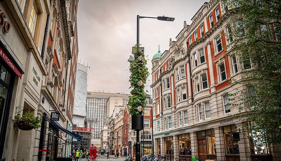 Westminster City Council LivingPillar