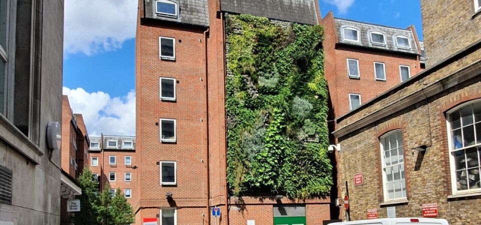 Living wall installation