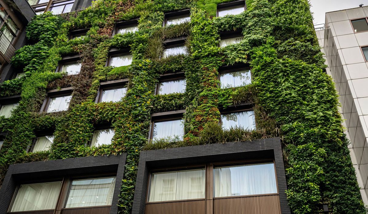 A building featuring a vibrant green wall, showcasing a blend of architecture and nature. 