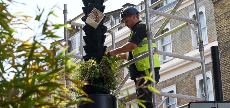 Living pillars Ebury street construction