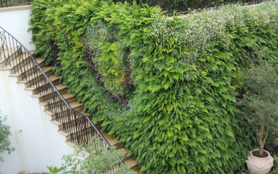 living wall home staircase garden