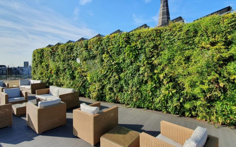 living walls climate change tasman house