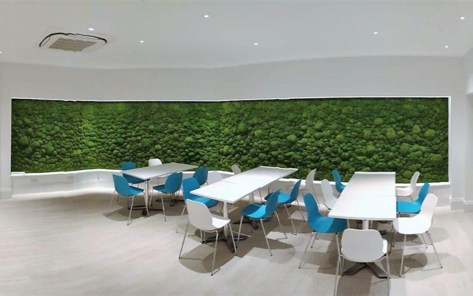 living wall on roof garden