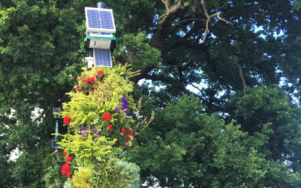 living pillars airly