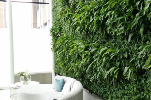 Living wall interior lewins place