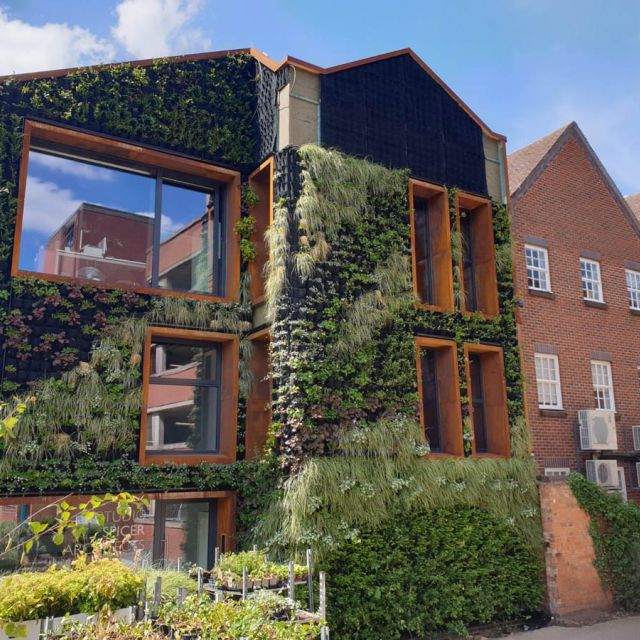 Exterior Living Wall