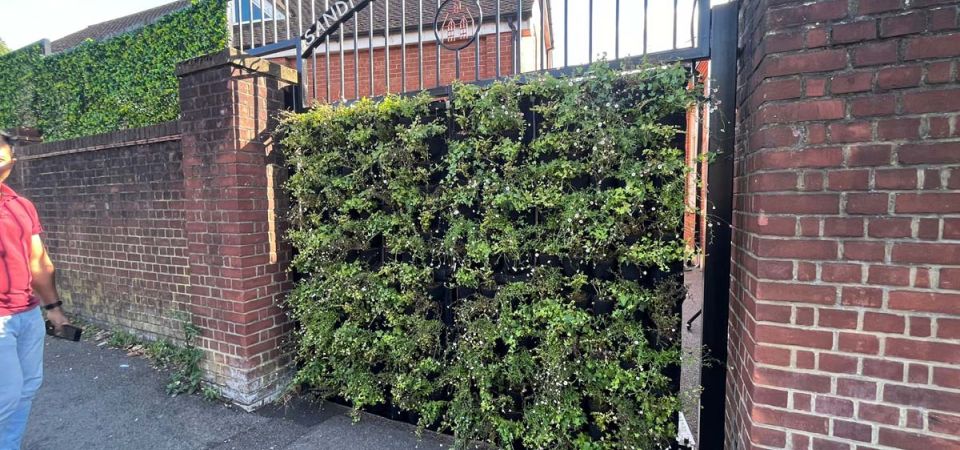 Sandfield Primary School Living Wall