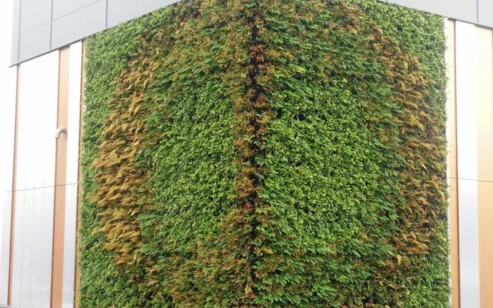 living wall rutherford cancer care centre south wales
