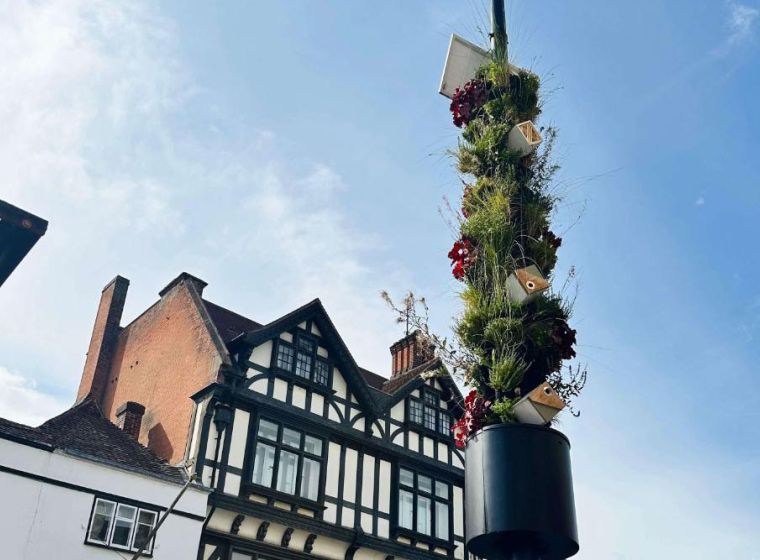 Maidstone Town Centre LivingPillars