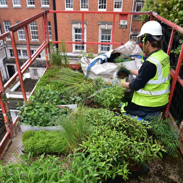 Living Wall Installation London bridge