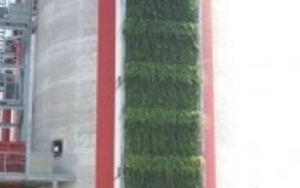 Living Wall Orchard Lisle maintenance