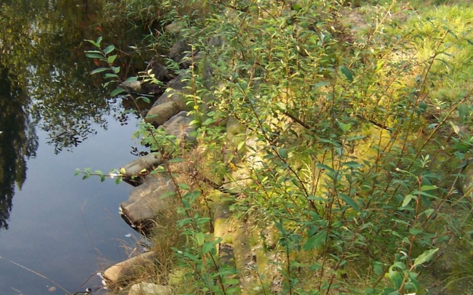 landscape maintenance sudden valley golf
