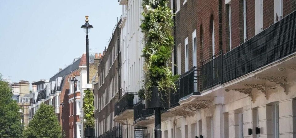 Living pillars Ebury street construction