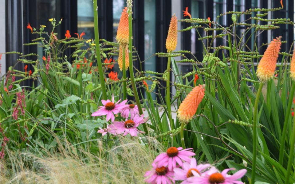 landscape maintenance flower bed riverlight