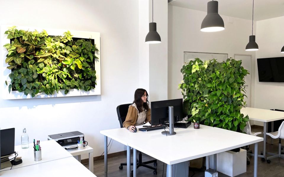living wall on roof garden