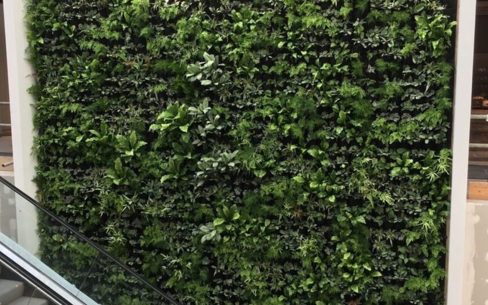 living walls house of fraser escalator