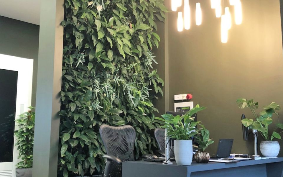 living walls elephant castle workplace wellness