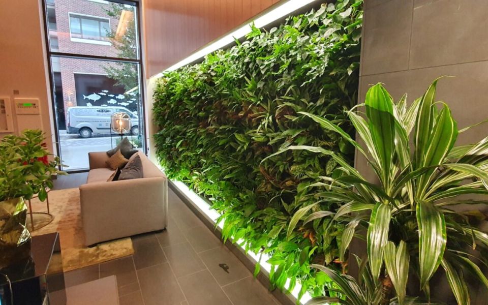living walls heygate reception area