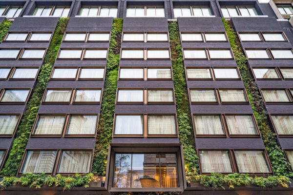Outdoor Living Walls, Stratford-Upon-Avon.