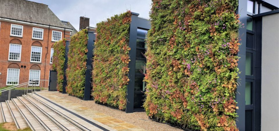 Living Wall Maintenance