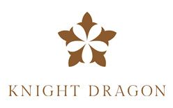 knight dragon logo