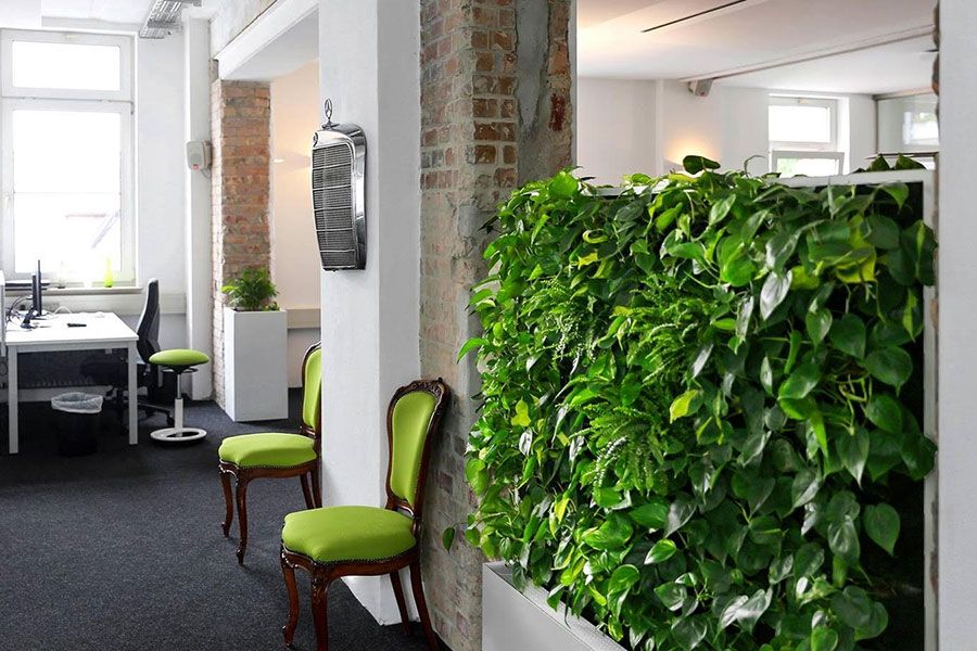 living wall on roof garden